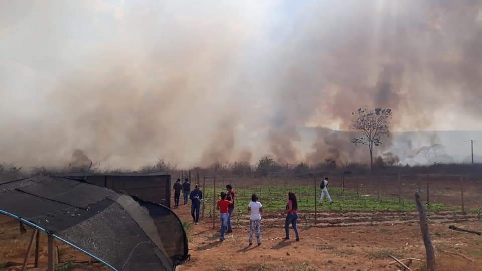 Incêndio destruiu plantação cultivada por alunos de Agronomia